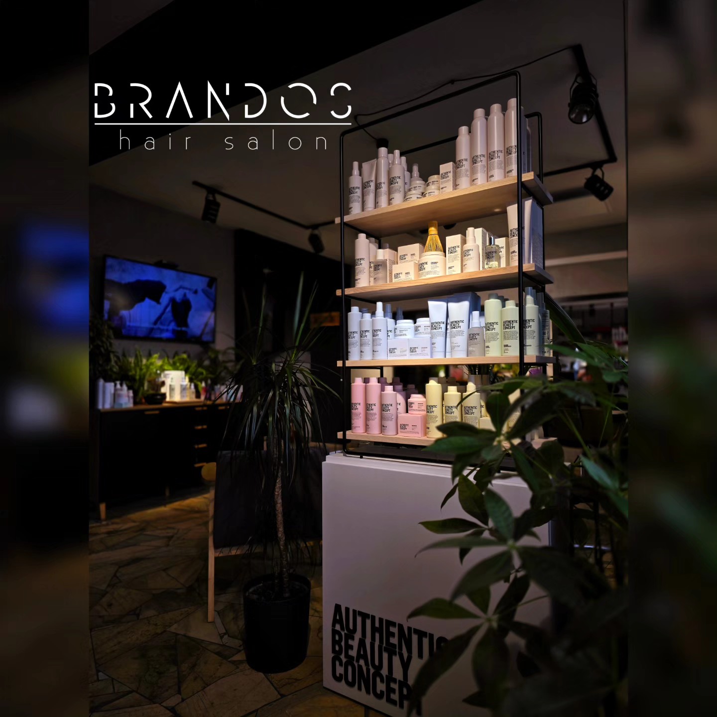 products.image_alt
