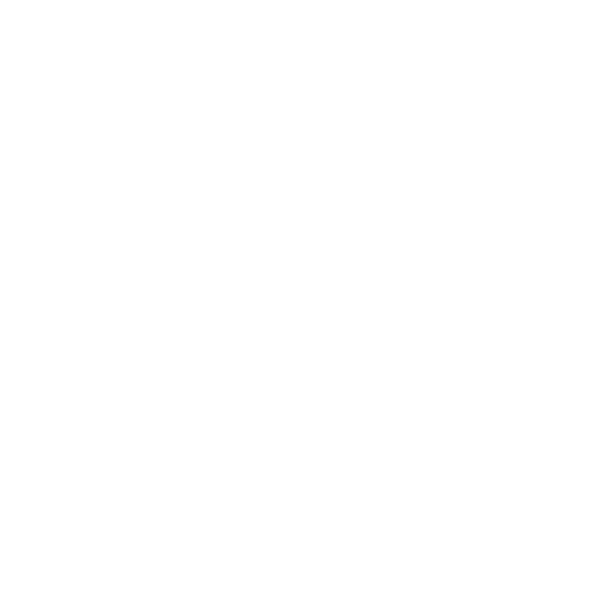AUTHENTIC BEAUTY CONCEPT